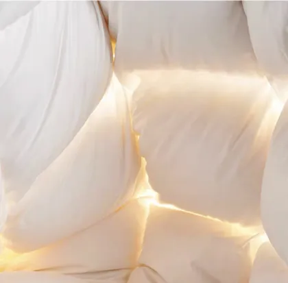 Luxury Spring-Autumn Goose Down Feather Quilt