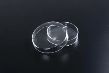 Glass Petri Dish