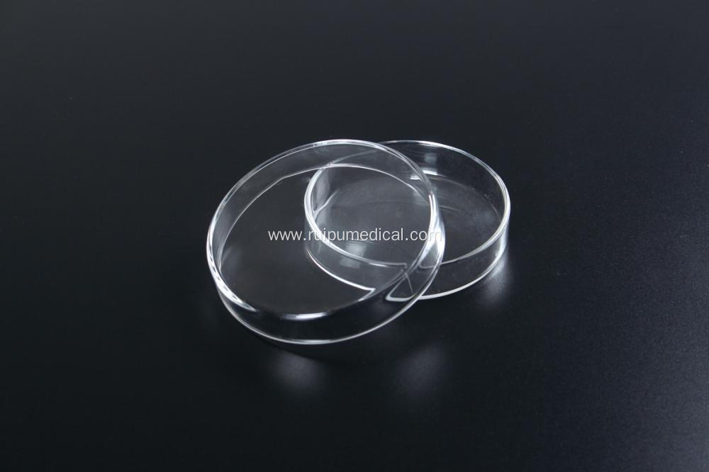 Glass Petri Dish