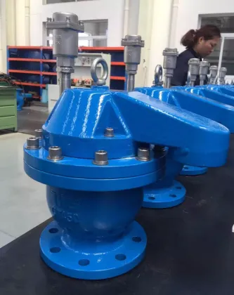 DN100 Air Release Valve - Quick Vent Valve PN16 for Water Industry OEM