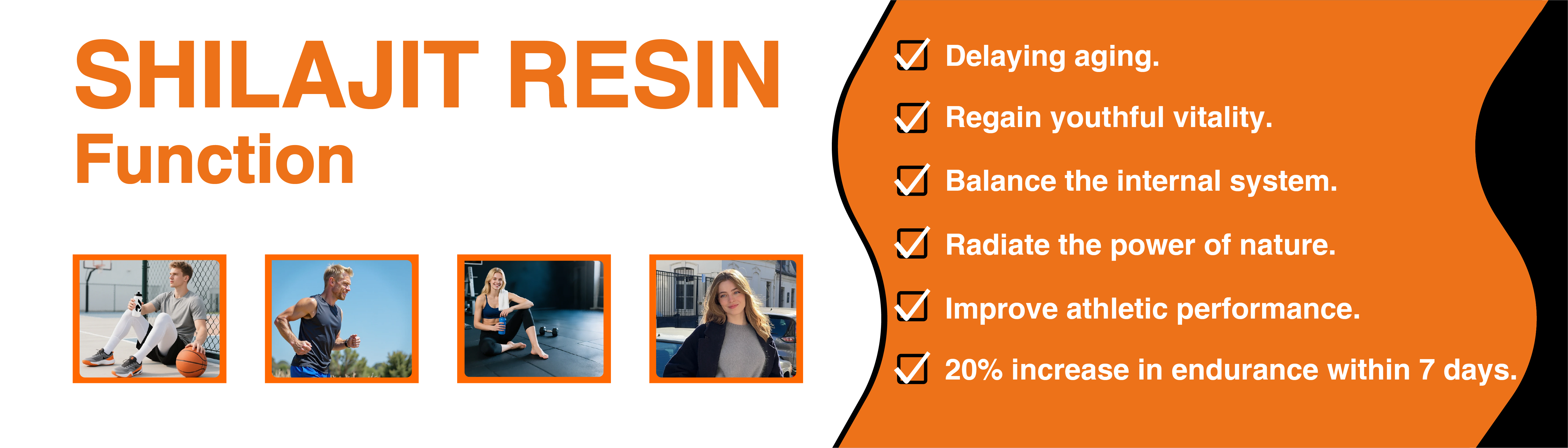 amazon shilajit resin