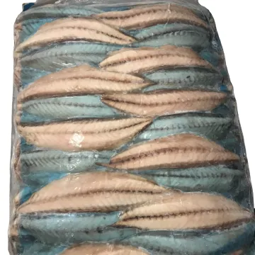 Precooked pacific mackerel (scomber japonicus) fillet