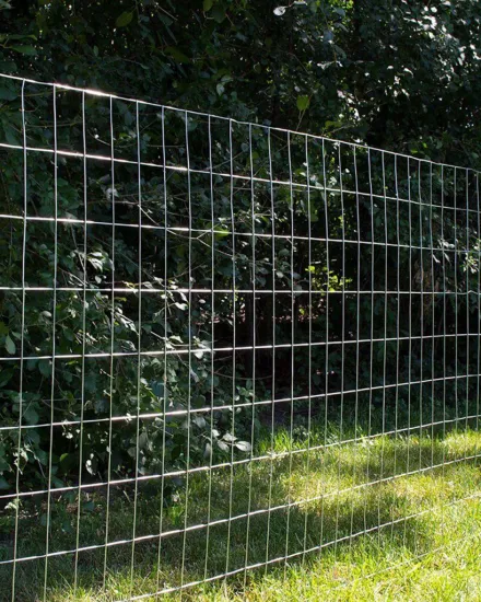 2x4 Galvanized Welded Wire Fence
