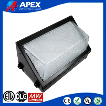 Outdoor LED Tunnel Lamp IP65 100W LED Wall Pack Light SMD3030 LED Wall Security Lighting