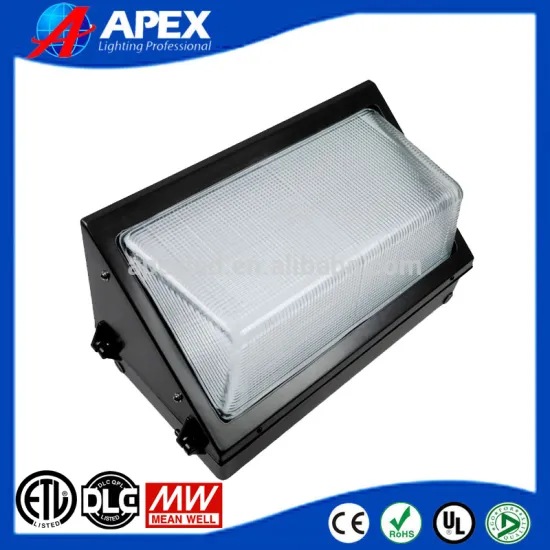 Outdoor LED Tunnel Lamp IP65 100W LED Wall Pack Light SMD3030 LED Wall Security Lighting