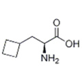 (S) -2-a-amino-3-cyclobutylpropaanzuur CAS 1201593-65-8