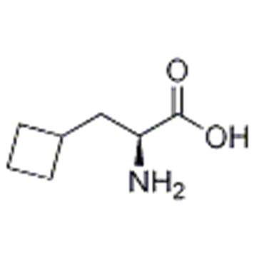 Ácido (S) -2-aMino-3-ciclobutilpropanoico CAS 1201593-65-8