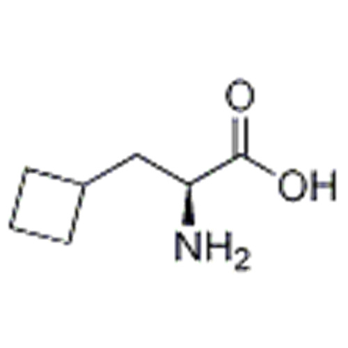 Acide (S) -2-amino-3-cyclobutylpropanoïque CAS 1201593-65-8