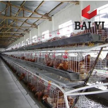 Boiler Chicken Cages