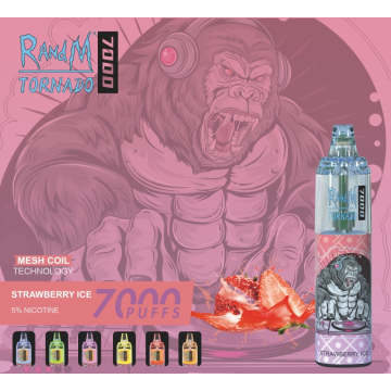 Popular RM TORNADO 7000 Disposable vape Wholesale Price