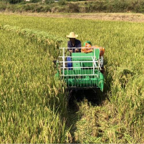 Зерноуборочный комбайн для уборки риса Цена мини-комбайн