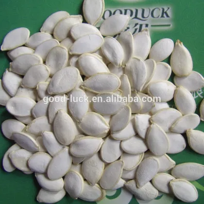 CHINESE PUMPKIN SEEDS
