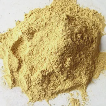Dehydrated Ginger Powder