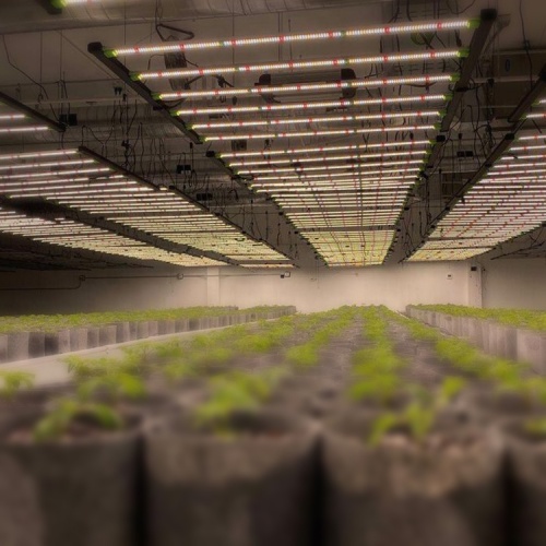 Full Spectrum Led Grow Light Bar lm301b/lm301h 800W