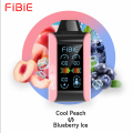 FIBIE VAPE 15000puffs