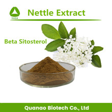 Nettle Leaf Extract 7% Sitosterol Powder Cas 7440-21-3