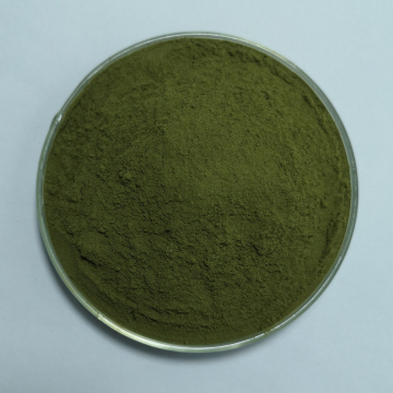 Organic Wheat Grass Juice Powder