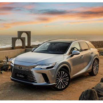 Lexus için 3D RHD Dayanıklı Scatch geçirmez araba paspası