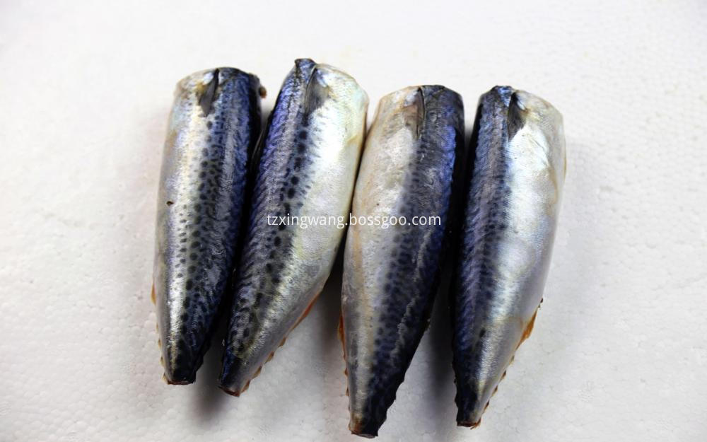 Mackerel HGT in Good Quality