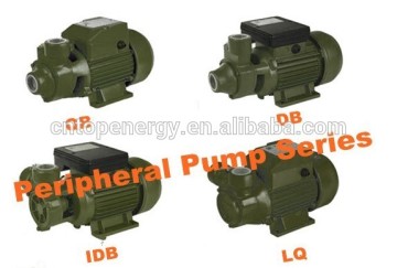 0.5 1/2 HP QB60 110v/220v Electric Centrifugal Water Pump Pool Graden
