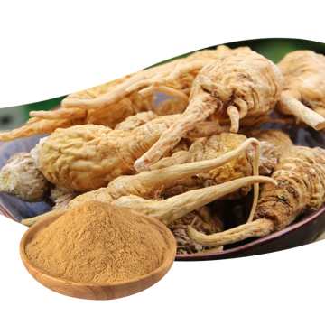 Maca Root extract powder for Health supplement