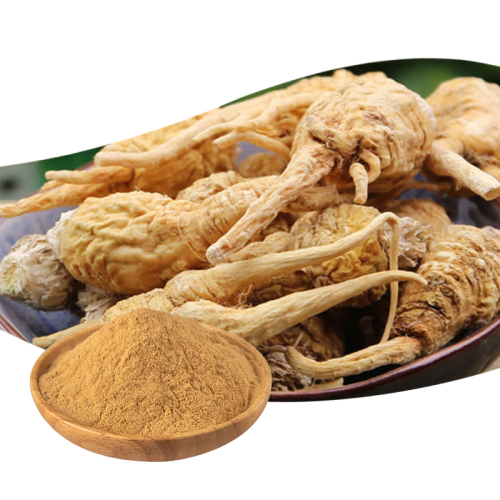 Extrato de raiz de raiz de alta qualidade natural de maca