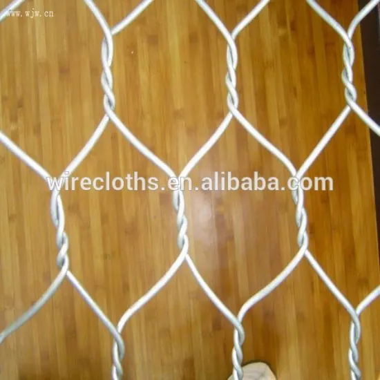 climbing plant support net (Factory)