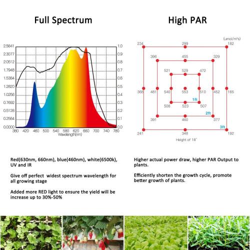 Grow światło białe rosnące rośliny lekkie spektrum