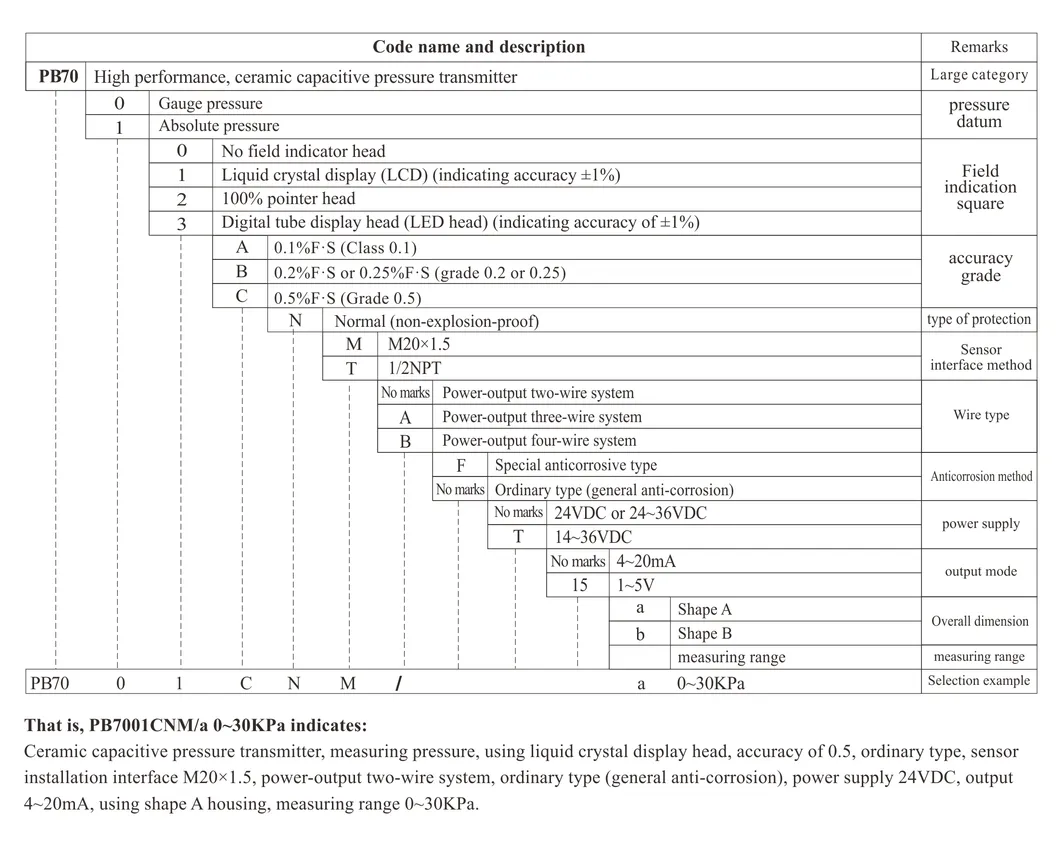 Capacitatea instrumentului Senzor de presiune negativă Manometru Transmițător de presiune absolută