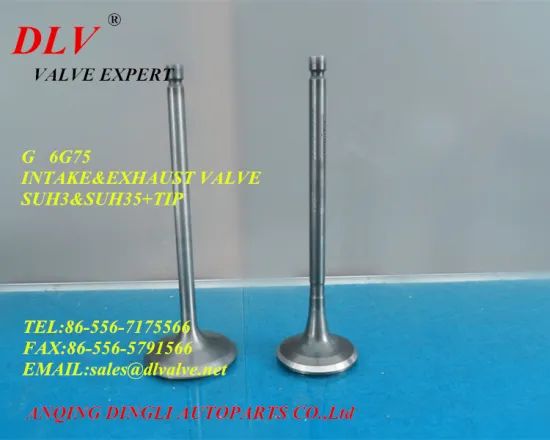 6G75 engine valve with high quality for car