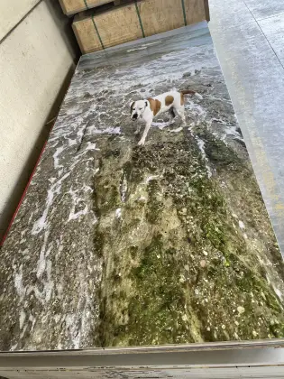 Mirror Finish UV Cured Marble Sheet Fade Resistant