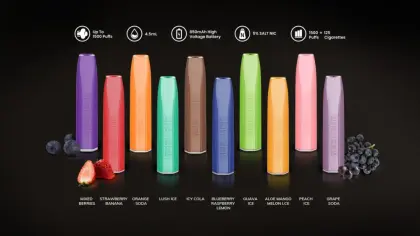 GEEK VAPE GEEK BAR DISPOSABLE VAPE