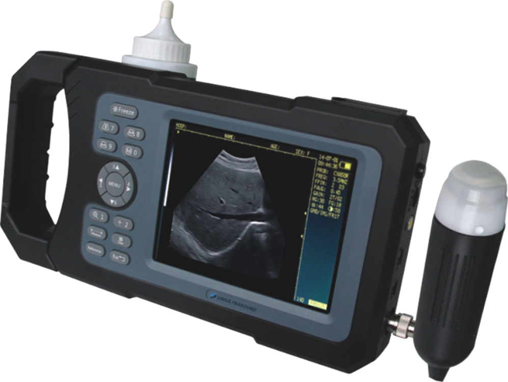 Hot selling vet portable ultrasound for wholesales