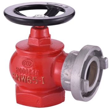 China Supplier Competitive Prices for SN65 Indoor Fire Hydrants