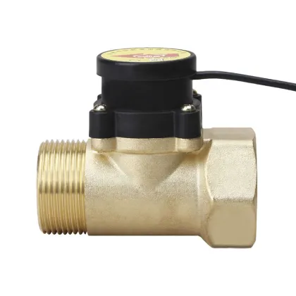 Electronic Magnetic Pipe Flow Switch Pump Small Flow Switch Price