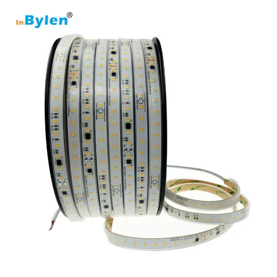 Waterproof CCT Dual Color Temperature LED Strip Light 220V IP67