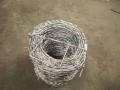 Het Dip Galvanized Protection Gill Net