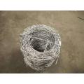 Hot-Dipped Galvanized Double Strand Carbon Steel Barbed Wire