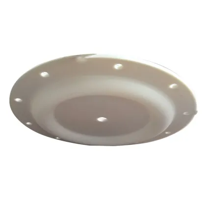 santoprene rubber diaphragm