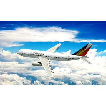 Professional international air transport