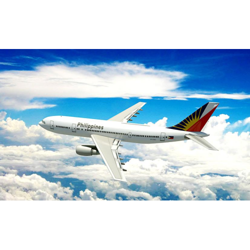 Professional international air transport