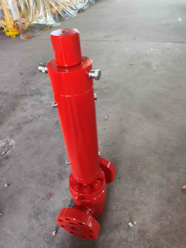 AQF65 35 Pressure Relief Valve Details