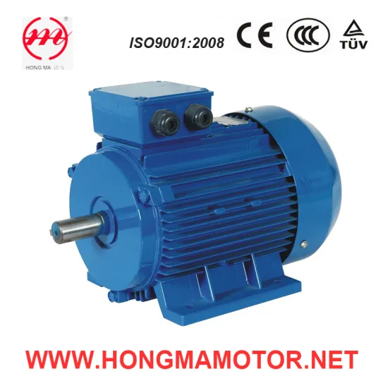 GOST Series Three-Phase Asynchronous Electric Motors