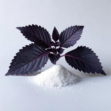 Ambroxan σκόνη cncsbio όγκος