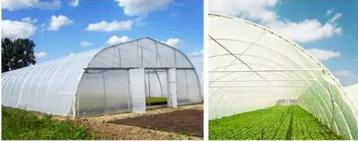 greenhouse shading