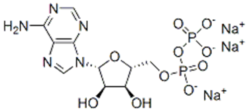 Adenosine 5'-diphosphate sodium salt CAS 20398-34-9
