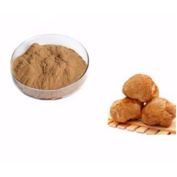 Organic ( Hericium Erinaceus Extract Powder) Lions Mane