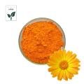 Marigold Extract for Improving Vision Extract