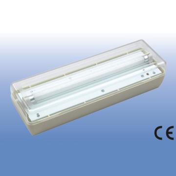 Dual-purpose Emergency Light