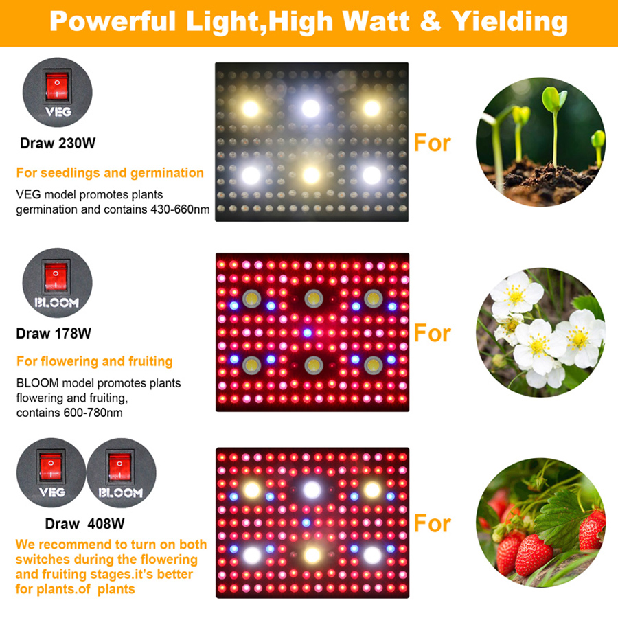 2020 Bästsäljande Ful-Spectrum COB växer ljus 3000W